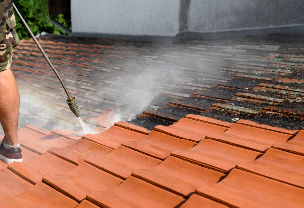 Best Exterior Home Cleaning  in Dunsmuir, CA
